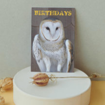 Stall Owl Foto Funny Birthday Card