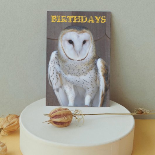 Stall Owl Foto Funny Birthday Card Karte
