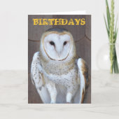 Stall Owl Foto Funny Birthday Card Karte (Vorderseite)