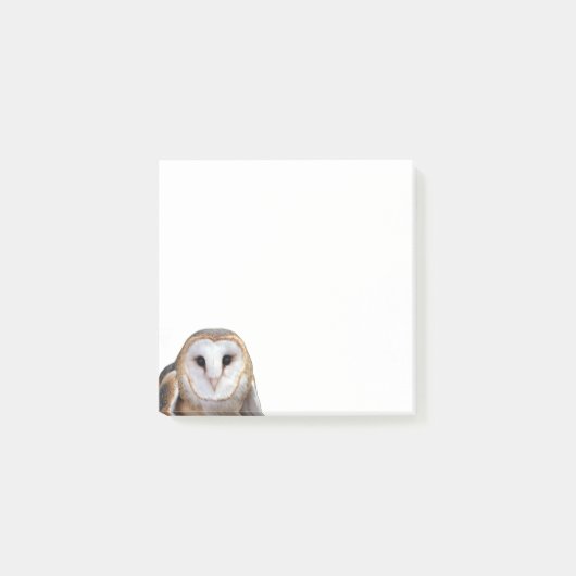 Stall Owl Foto Post-it Notes Stationery Klebezettel (Vorderseite)