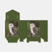 Stall Owl Gefälligkeitsboxen Geschenkschachtel (Ungefaltet)