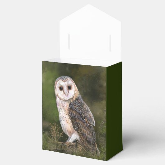 Stall Owl Gefälligkeitsboxen Geschenkschachtel (Geöffnet)