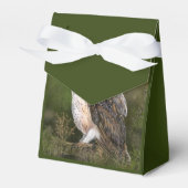 Stall Owl Gefälligkeitsboxen Geschenkschachtel (Vorderseite)
