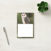 Stall Owl Post-it® Notes Post-it Klebezettel (Büro)