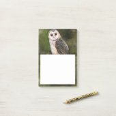Stall Owl Post-it® Notes Post-it Klebezettel (Auf Schreibtisch)