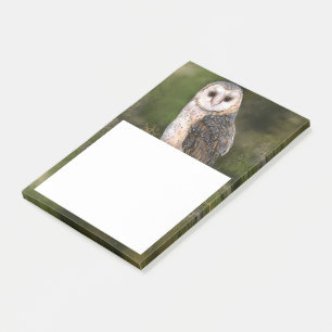 Stall Owl Post-it® Notes Post-it Klebezettel