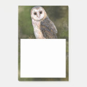 Stall Owl Post-it® Notes Post-it Klebezettel (Vorderseite)