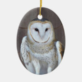 Stall Owl Raptor Foto Keramikornament (Vorne)