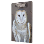 Stall Owl Raptor Foto Klemmbrett (Links)