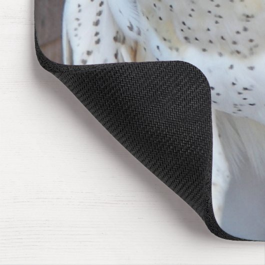 Stall Owl Raptor Foto Mousepad (Ecke)