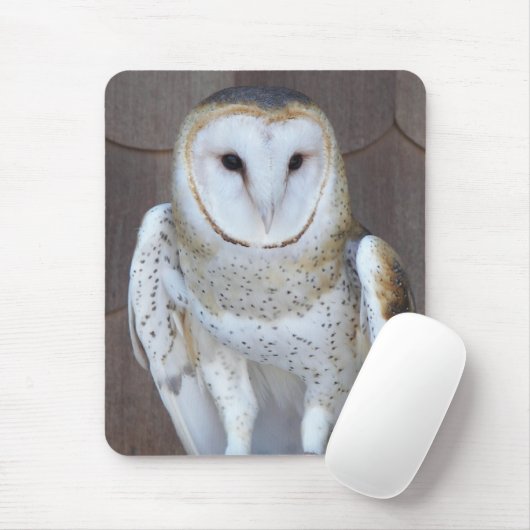 Stall Owl Raptor Foto Mousepad (Mit Mouse)