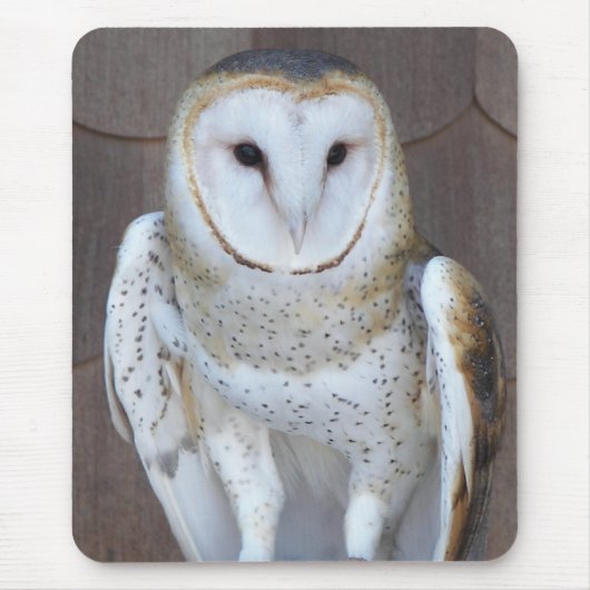 Stall Owl Raptor Foto Mousepad (Vorne)