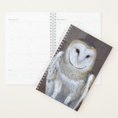 Stall Owl Raptor Foto Planer (Anzeige)