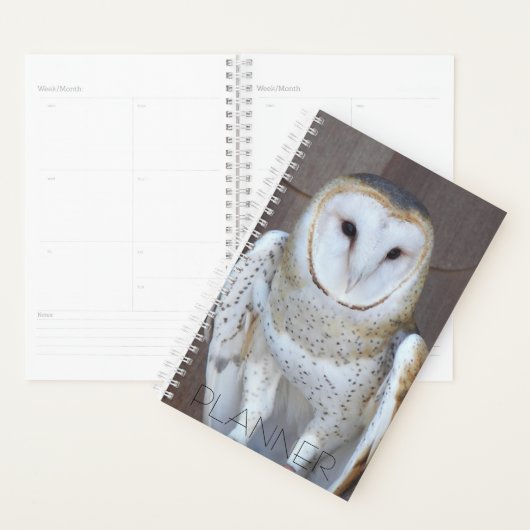 Stall Owl Raptor Foto Planer (Anzeige)