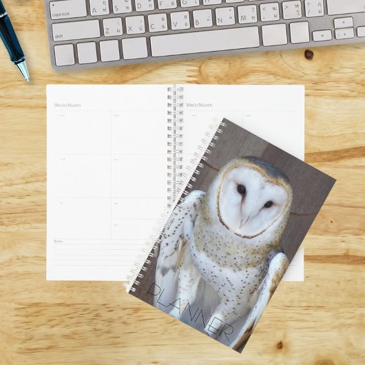 Stall Owl Raptor Foto Planer