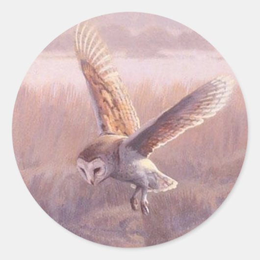 Stall Owl Round Stickers (Vorderseite)