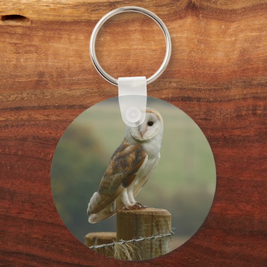 Stall Owl Schlüsselring Schlüsselanhänger (Vorderseite)