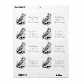 Stall Owl Thunder_Cove (Vorne)