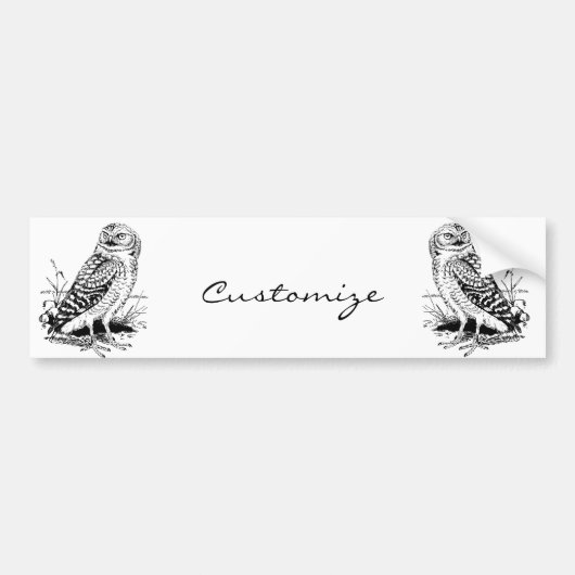Stall Owl Thunder_Cove Autoaufkleber (Vorne)