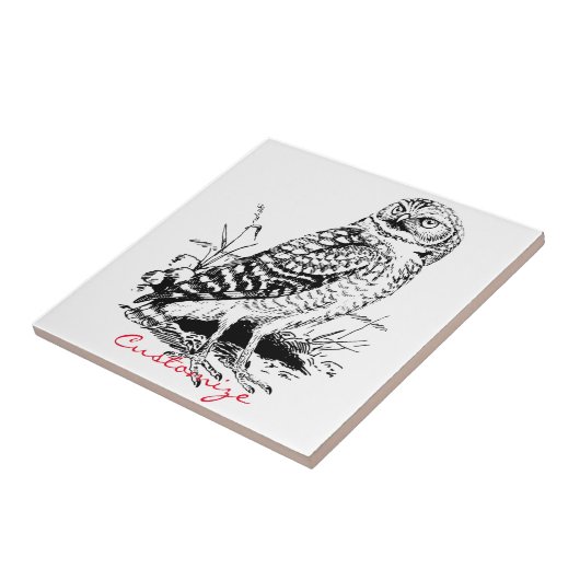 Stall Owl Thunder_Cove Fliese (Seite)