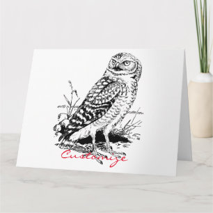 Stall Owl Thunder_Cove Karte