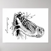 Stall Owl Thunder_Cove Poster (Vorne)