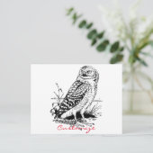 Stall Owl Thunder_Cove Postkarte (Stehend Vorderseite)