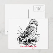 Stall Owl Thunder_Cove Postkarte (Vorne/Hinten)