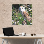 Stall Owl White Face Stretched Canvas Print Leinwanddruck