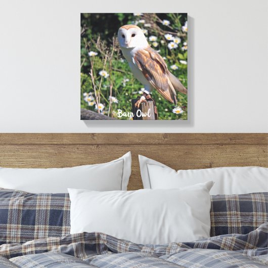 Stall Owl White Face Stretched Canvas Print Leinwanddruck (Insitu (Schlafzimmer))