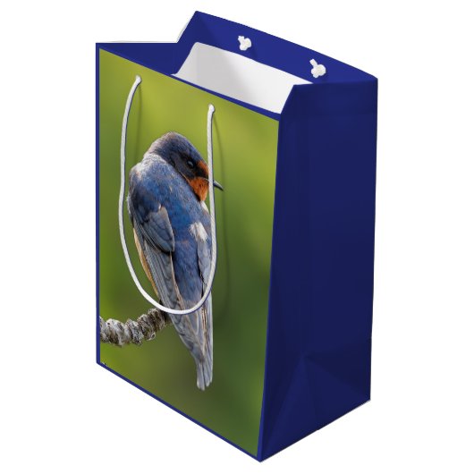 Stall schlucken an einem Zweig Mittlere Geschenktüte (Rückseite Schrägansicht)