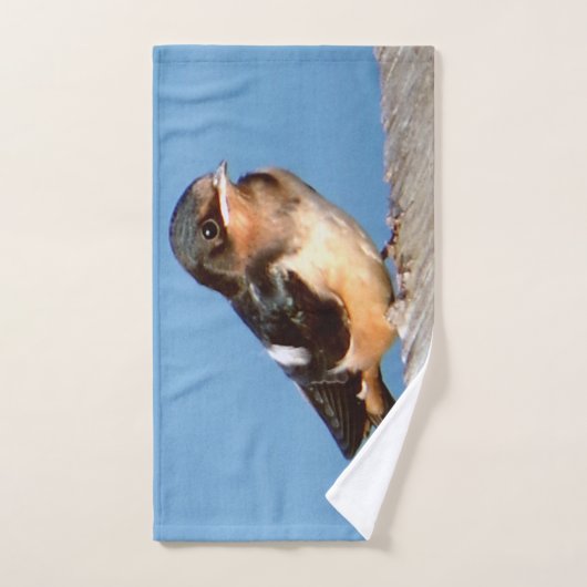 Stall Schlucken Handtuch Set (Handtuch)