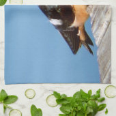 Stall Schlucken Küchentuch (Gefaltet)