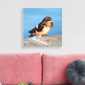 Stall schlucken Leinwand drucken (Insitu (Wohnzimmer))