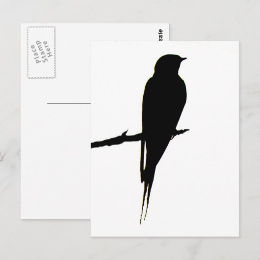 Stall Schlucken männlich Postkarte (Vorne/Hinten)