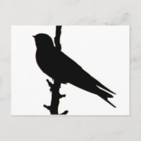 Stall Schlucken Silhouette Postkarte