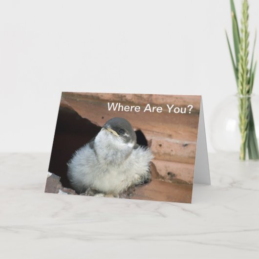 Stall Schlucken Valentine Karte (Vorderseite)