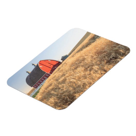 Stall, Sommer Weizenfelder in der Nähe von Sprague Magnet (Linke Seite)