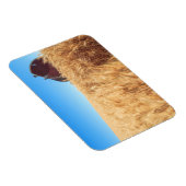 Stall, Sommer Weizenfelder in der Nähe von Sprague Magnet (Rechte Seite)