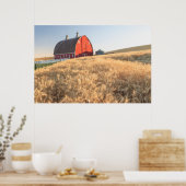 Stall, Sommer Weizenfelder in der Nähe von Sprague Poster (Küche)