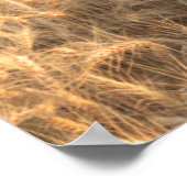 Stall, Sommer Weizenfelder in der Nähe von Sprague Poster (Ecke)