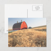 Stall, Sommer Weizenfelder in der Nähe von Sprague Postkarte (Vorne/Hinten)