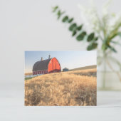 Stall, Sommer Weizenfelder in der Nähe von Sprague Postkarte (Stehend Vorderseite)