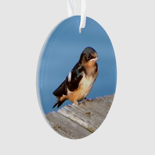 Stall Swallow Acrylschmuck Ornament (Vorderseite)