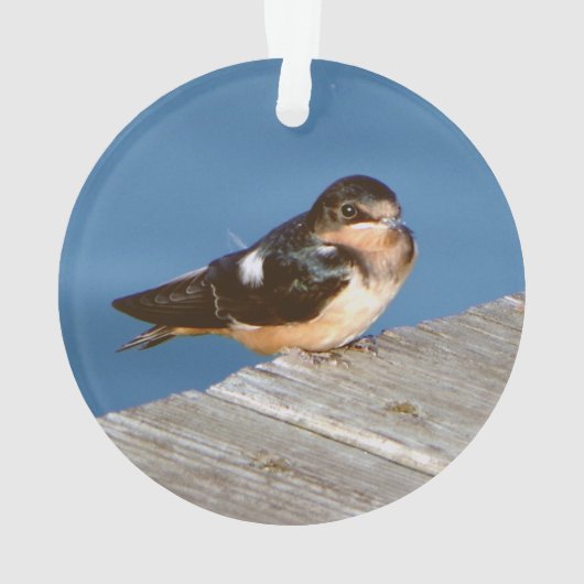 Stall Swallow Acrylschmuck Ornament (Rückseite)