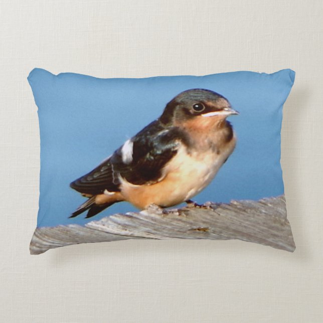 Stall Swallow Akzent Kissen (Vorderseite)