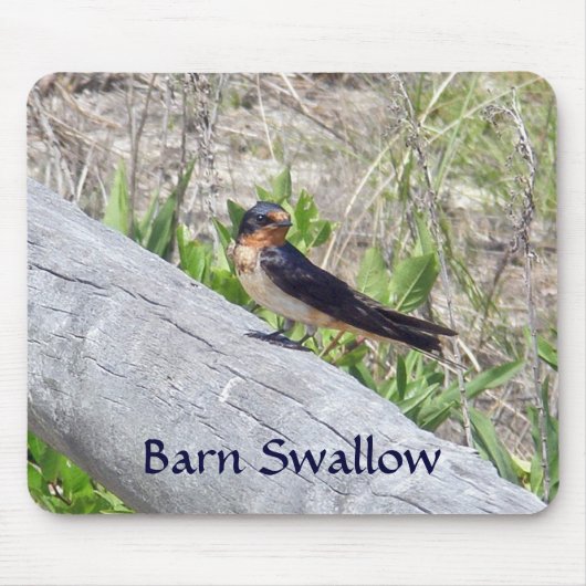 Stall Swallow auf Zaun Mousepad (Vorne)