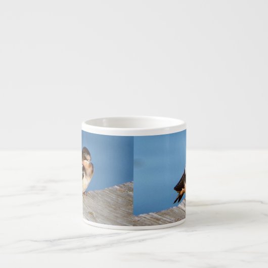 Stall Swallow Espresso oder Jumbo Tasse (Vorderseite)