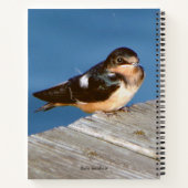 Stall Swallow Notebook Notizblock (Rückseite)