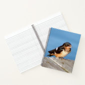 Stall Swallow Notebook Notizblock (Innenseite)